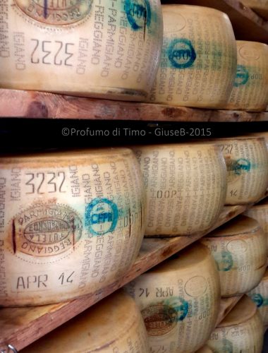 FACCIA PIATTA & SCALZO APPENA CONVESSO. Alla scoperta del Parmigiano Reggiano – Anteprima #caseificiaperti 2015