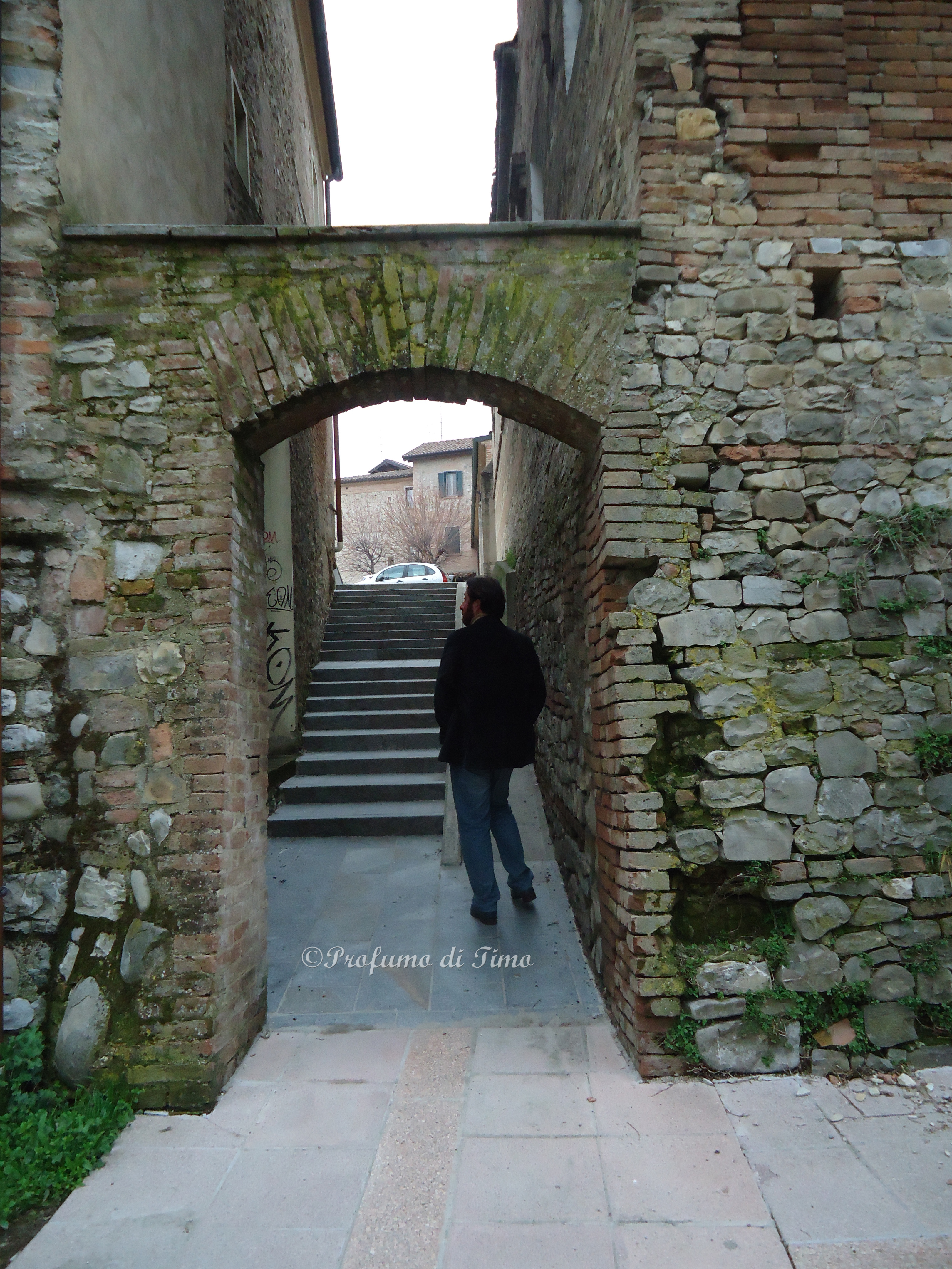 Arceto Castello (1)