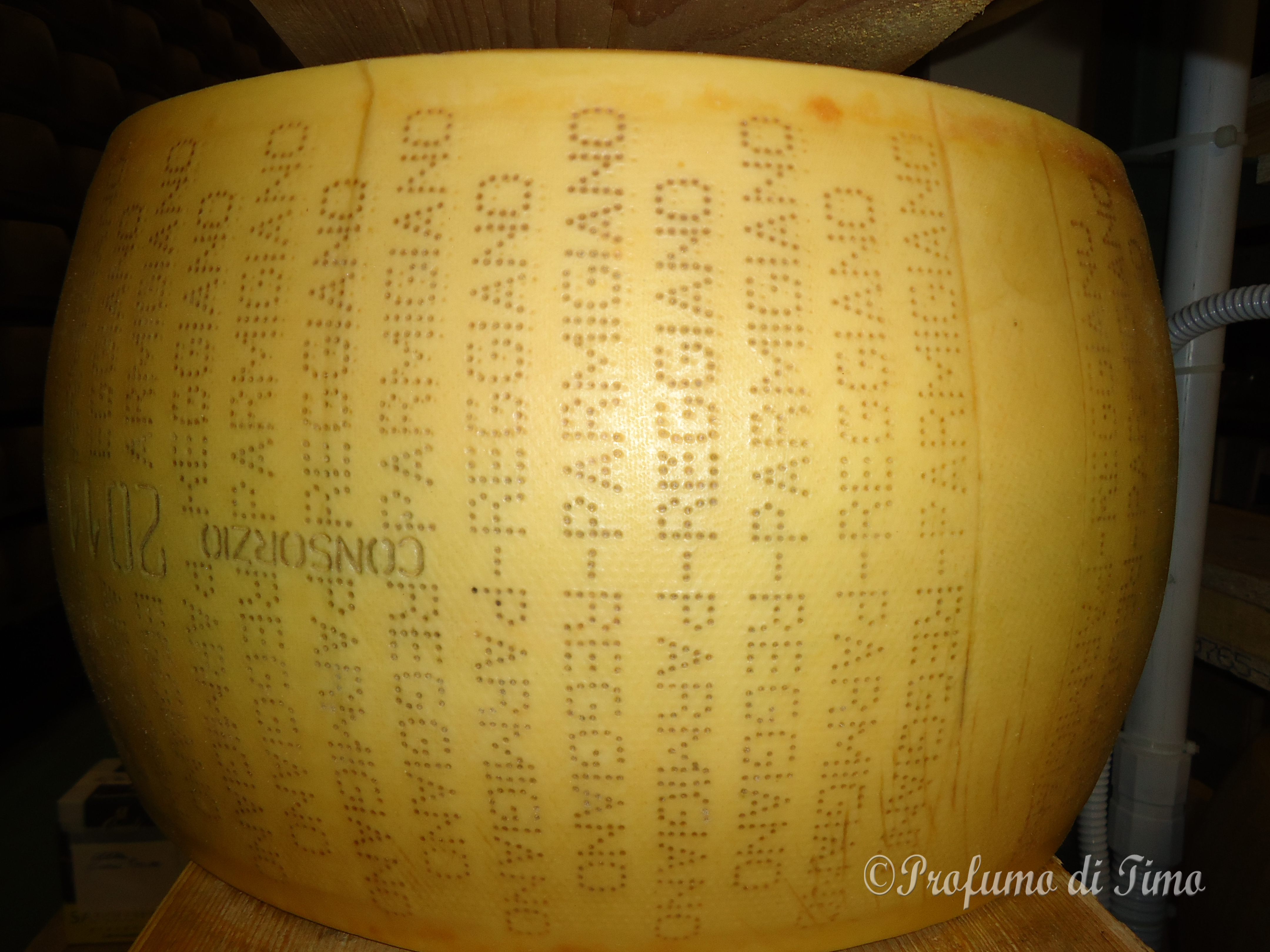 parmigiano reggiano (6)