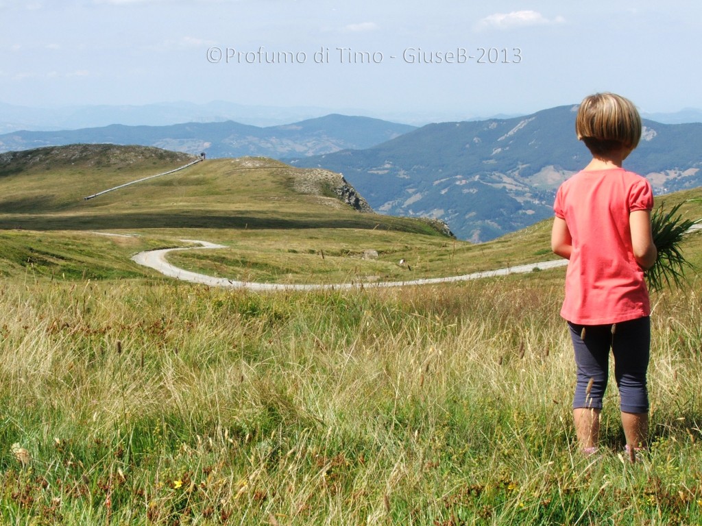 la principessa ammira il paesaggio