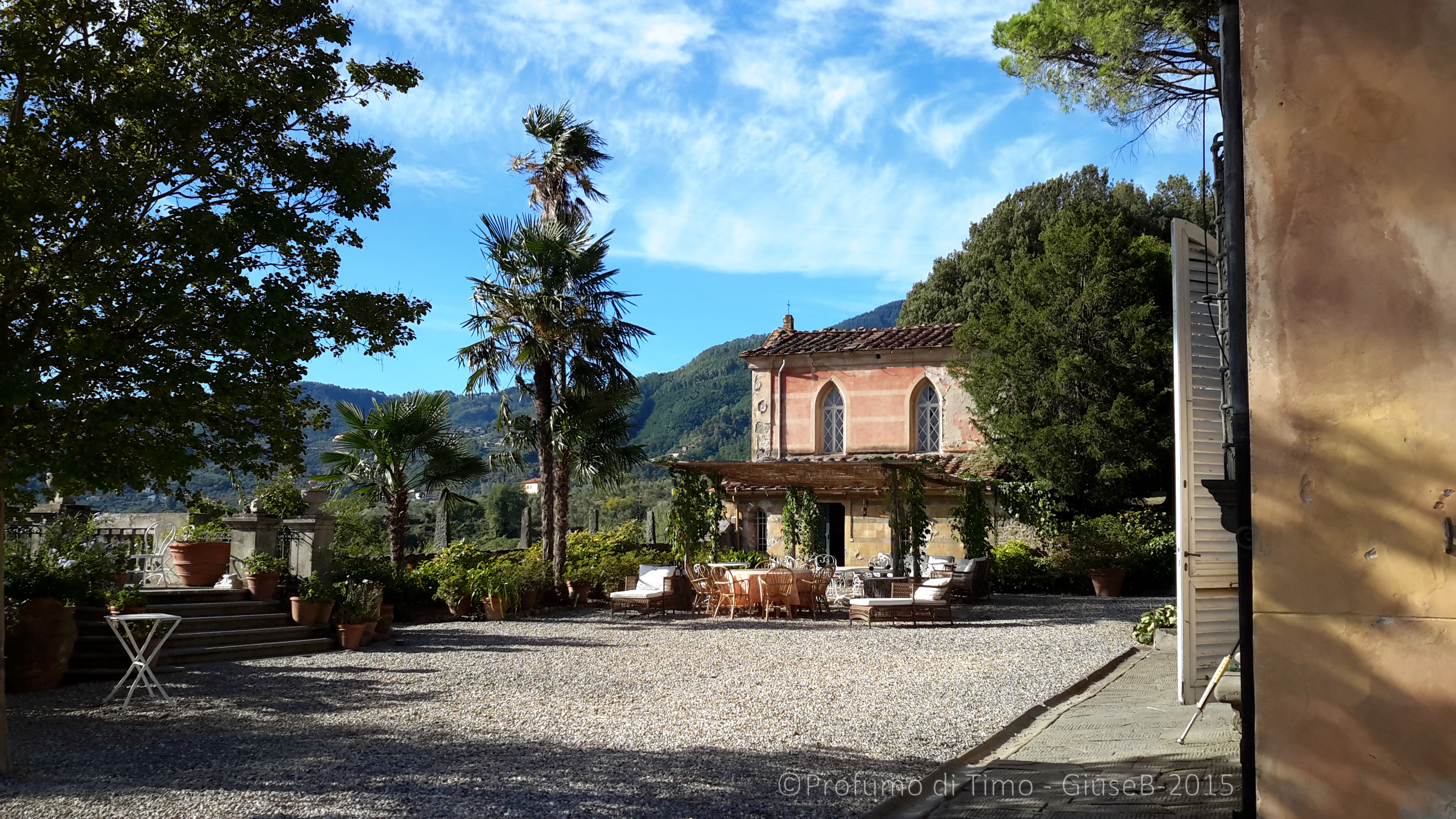 Vendemmia 2015 a Valgiano la Villa giardino
