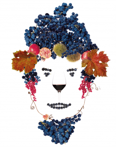 anteprima vini della costa lucca
