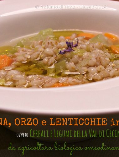 AVENA, ORZO e LENTICCHIE in ZUPPA ovvero Cereali e Legumi della Val di Cecina da agricoltura biologica omeodinamica