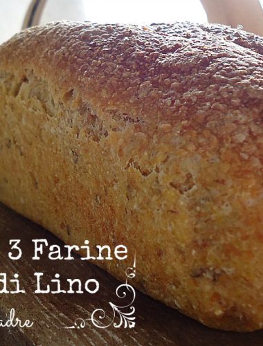 Pane con semi di lino alle tre farine e Pasta Madre