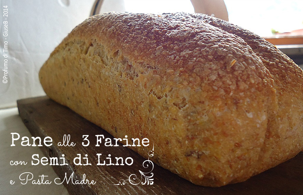 Pane con semi di lino alle tre farine e Pasta Madre
