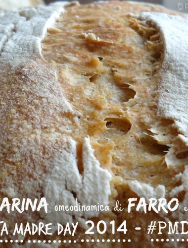 Pane con Farina omeodinamica di Farro e Grano Duro per il #PMDAY14