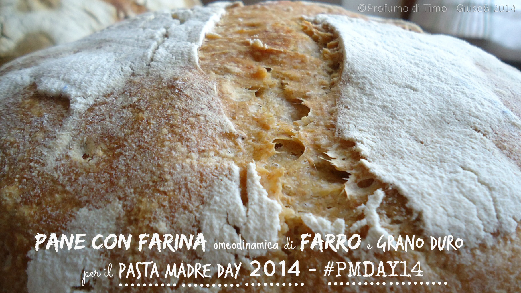 Pane con Farina omeodinamica di Farro e Grano Duro per il #PMDAY14