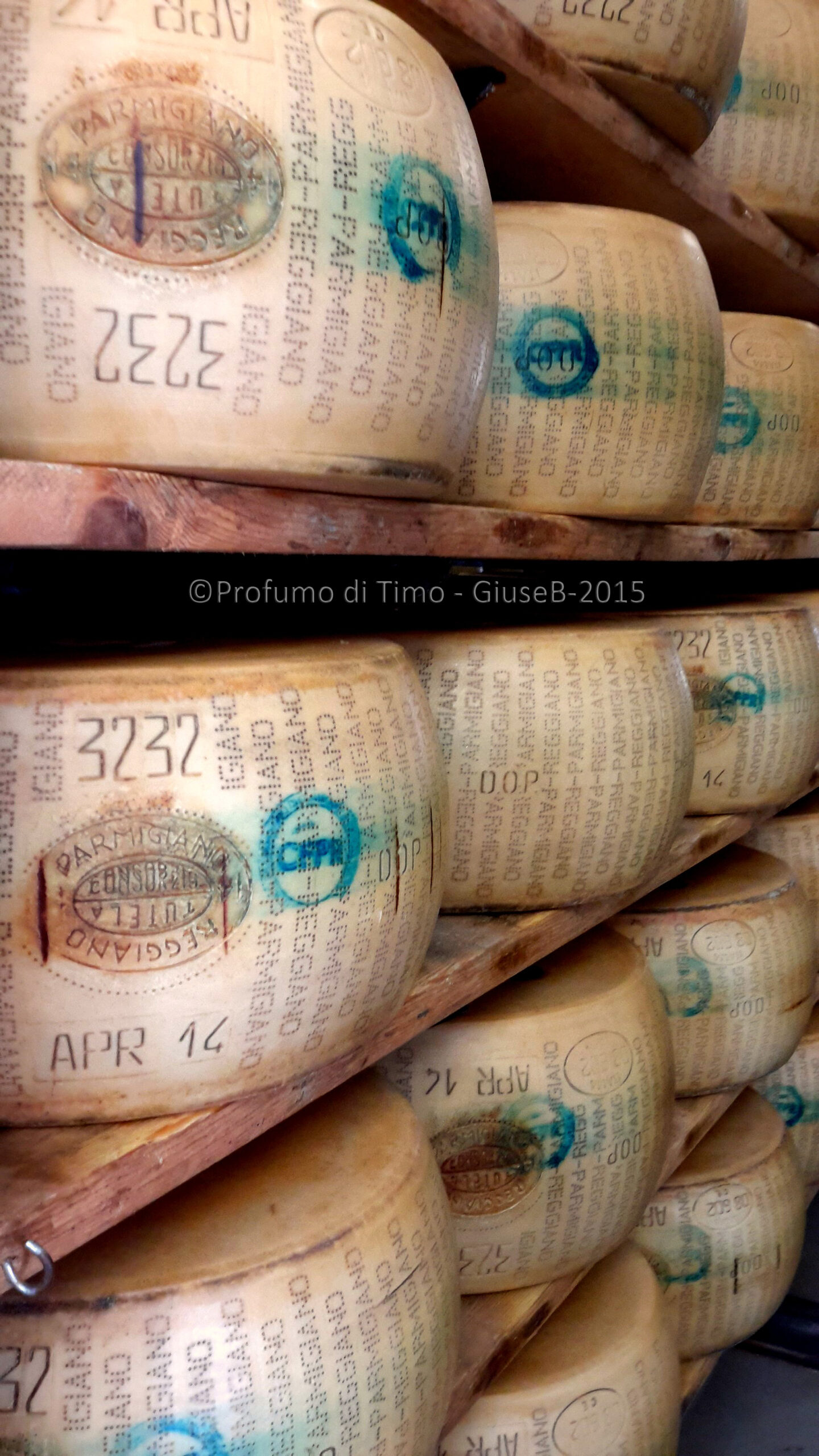 FACCIA PIATTA & SCALZO APPENA CONVESSO. Alla scoperta del Parmigiano Reggiano – Anteprima #caseificiaperti 2015