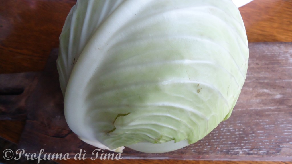 Cavolo cappuccio bio in insalata