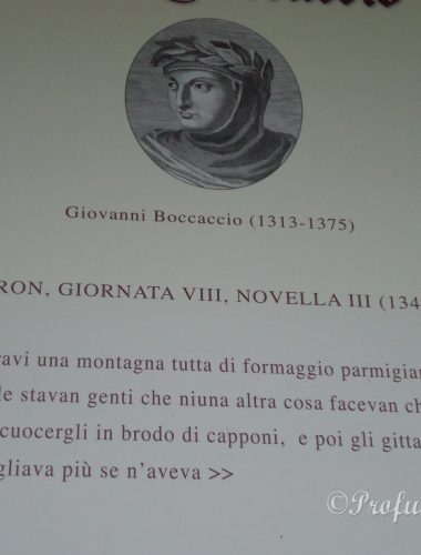 Gita in Emilia e nel Paese dei Balocchi