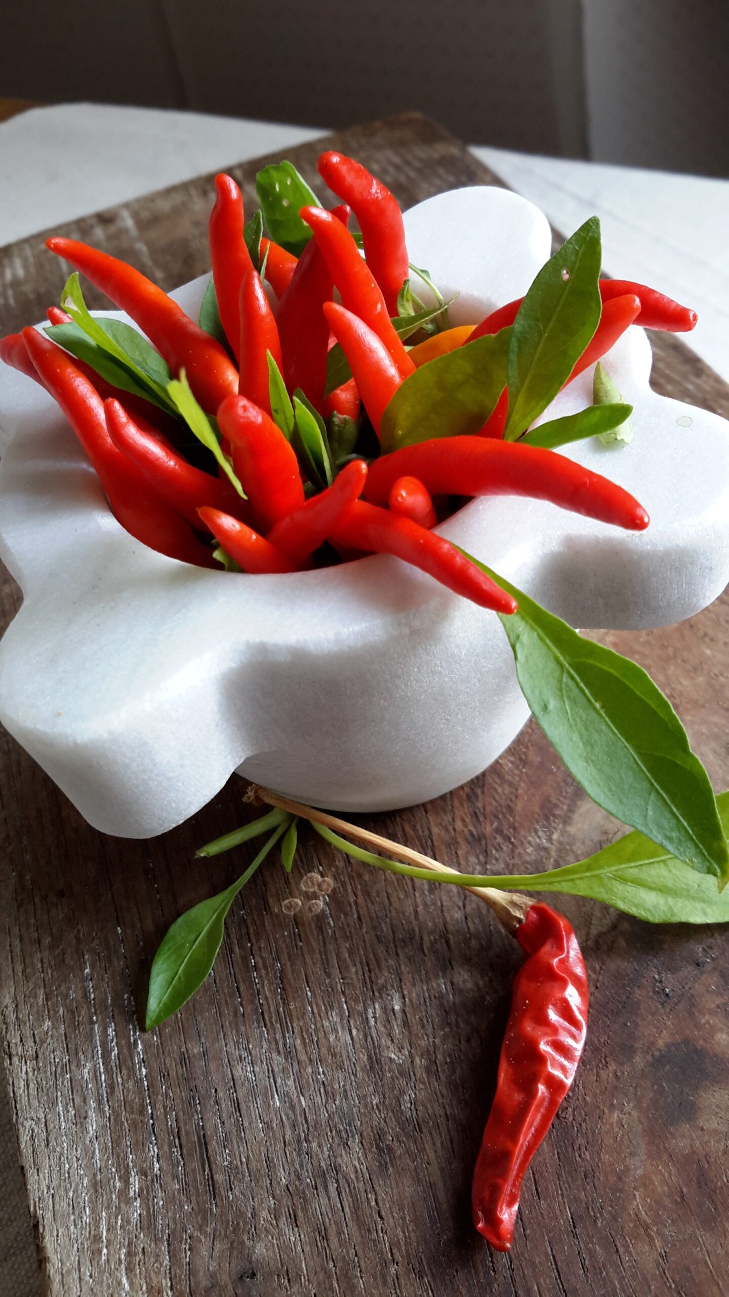 Foglie di barbabietole rosse al peperoncino