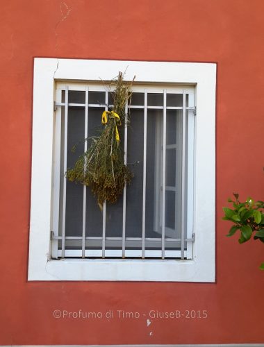 Il Distretto Biodinamico a Lucca e l’appuntamento con la Vendemmia 2015